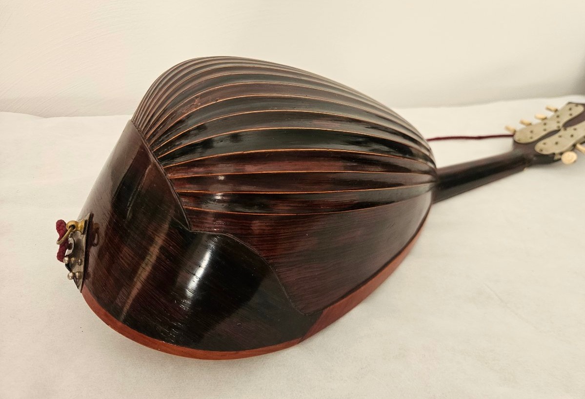 Carlo Foveri Liglio Mandolin With Hollow Sides, Late 19th Century -photo-3