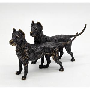 Couple de dogues allemands en Bronze début 20ème 