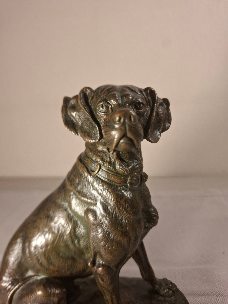 Bronze Representing A Dog Signed E Delabrierre-photo-2