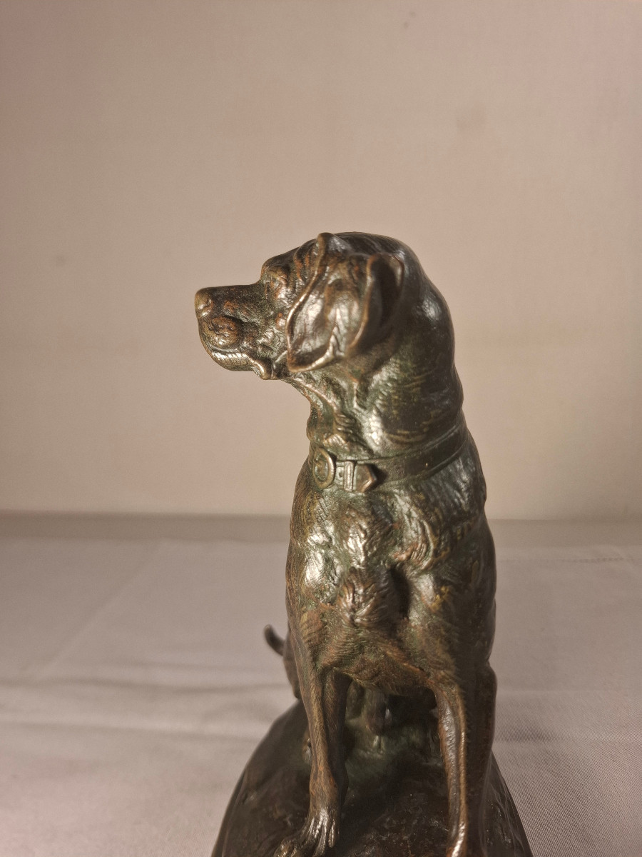 Bronze Representing A Dog Signed E Delabrierre-photo-4