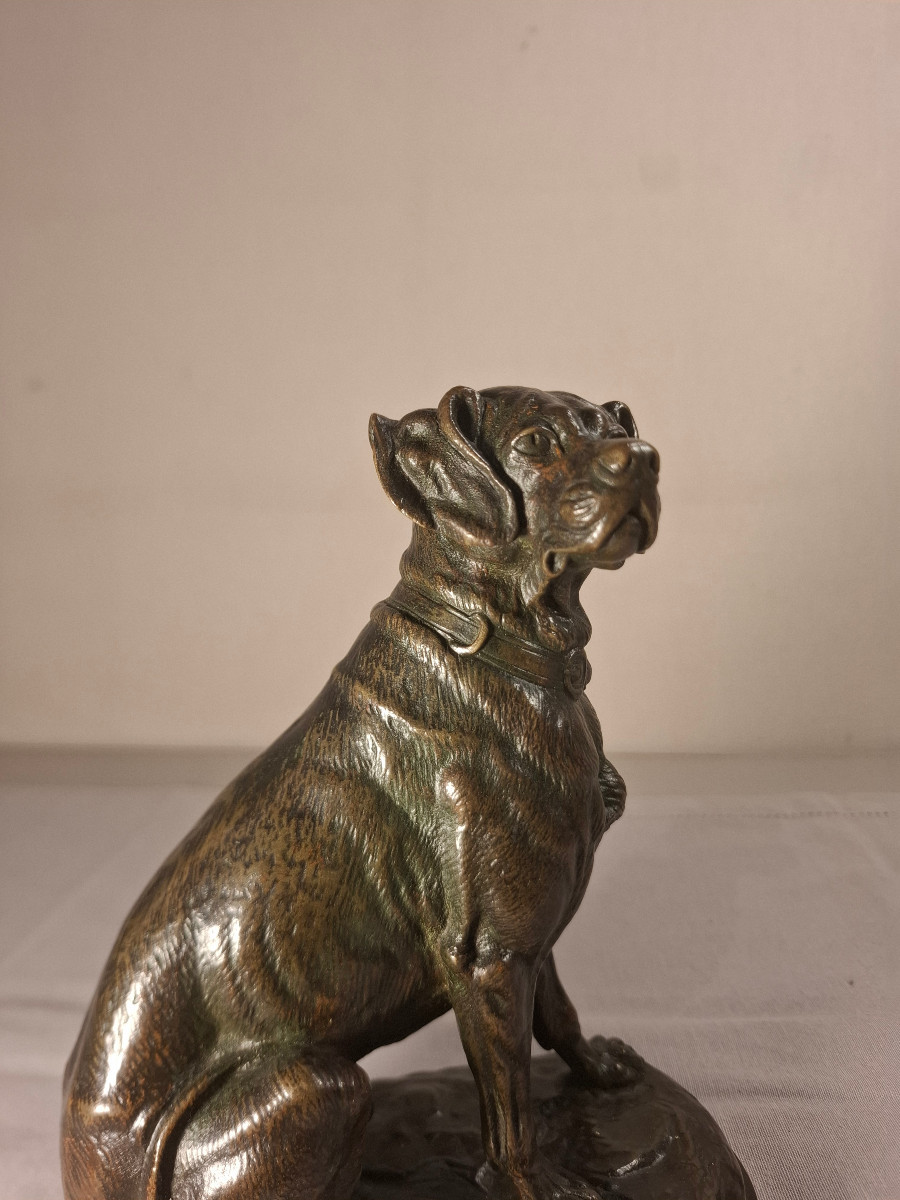 Bronze Representing A Dog Signed E Delabrierre-photo-5