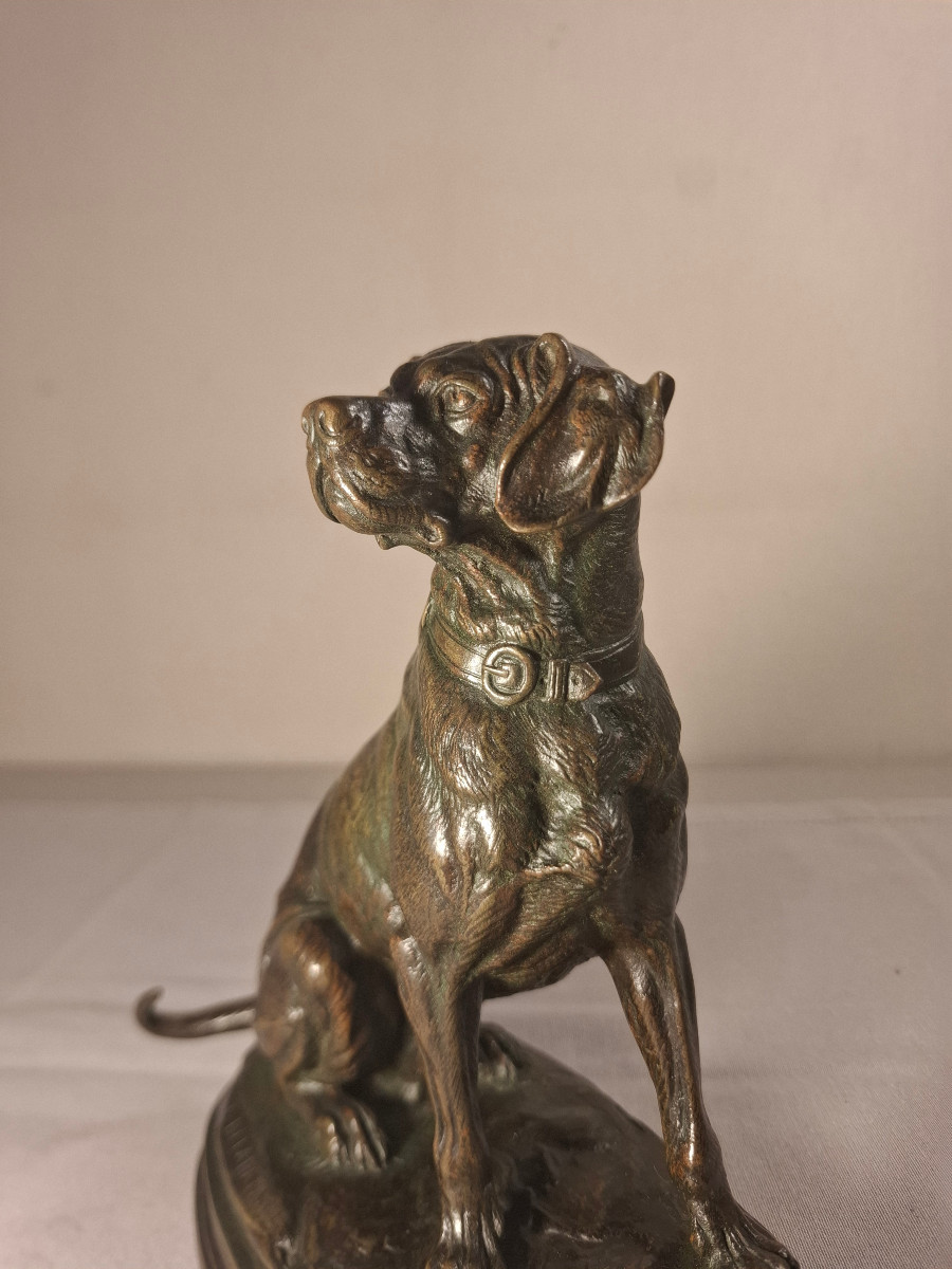 Bronze Representing A Dog Signed E Delabrierre-photo-6
