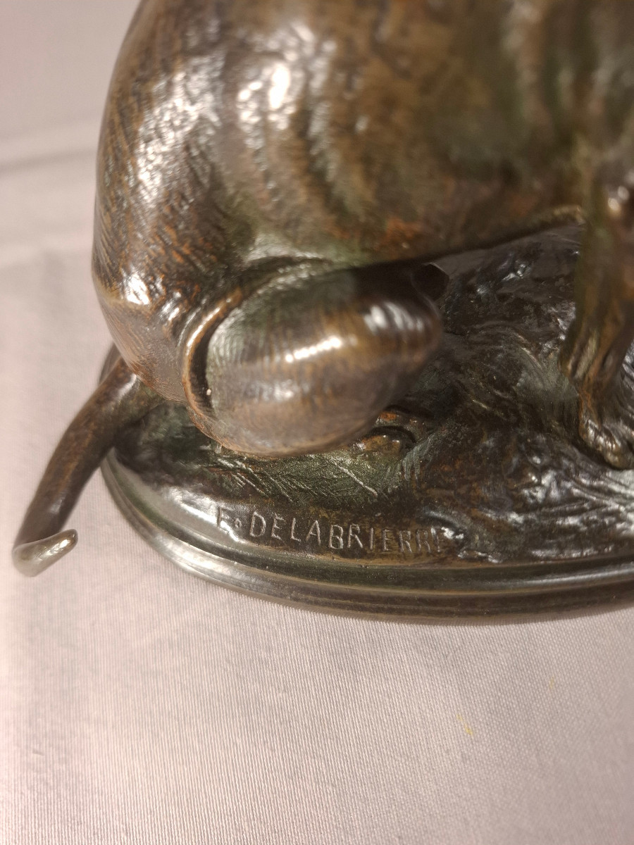 Bronze Representing A Dog Signed E Delabrierre-photo-7