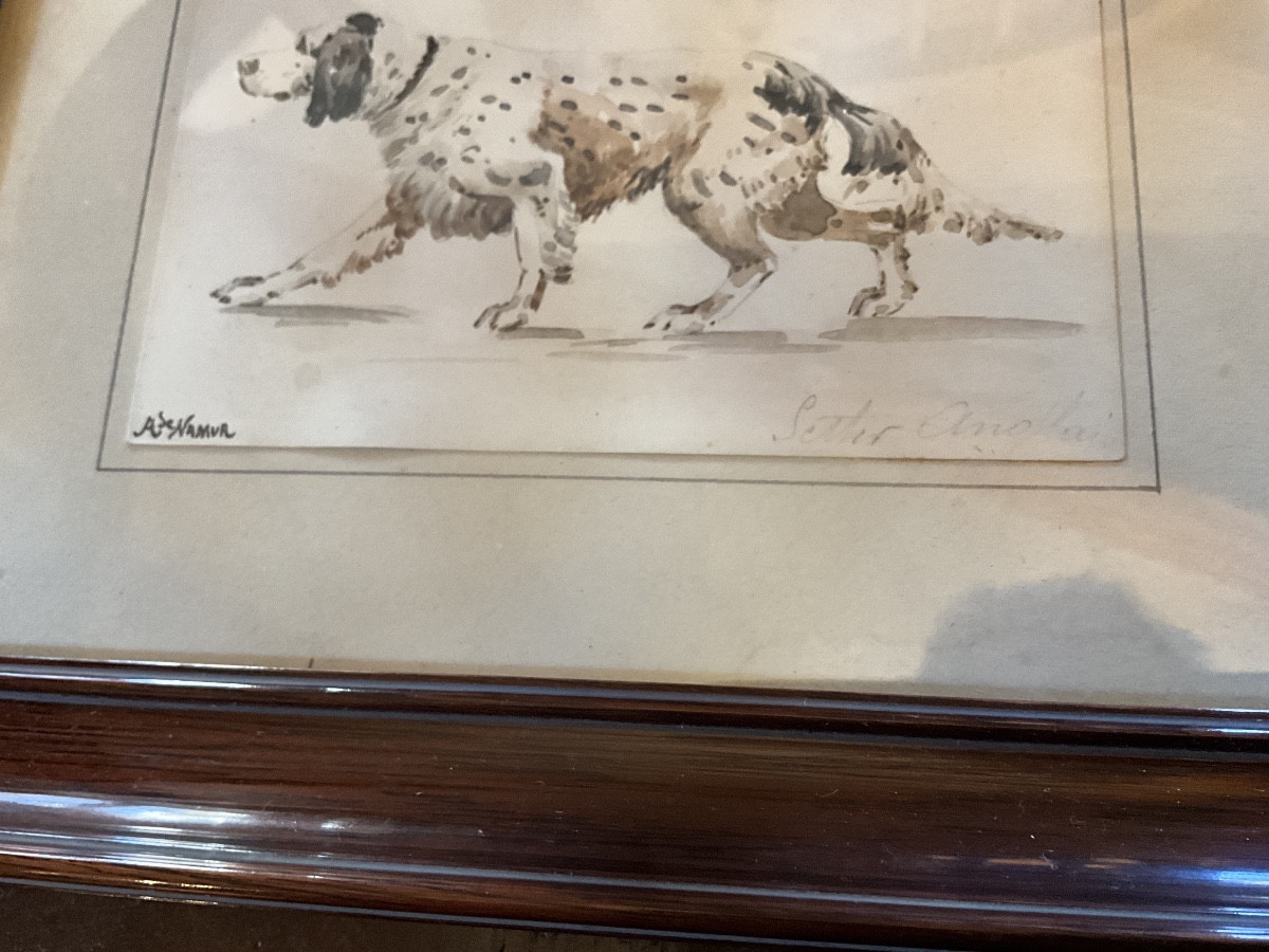 Petite aquarelle d’un chien d’arret , Setter Anglais , Peintre A. de Namur-photo-2