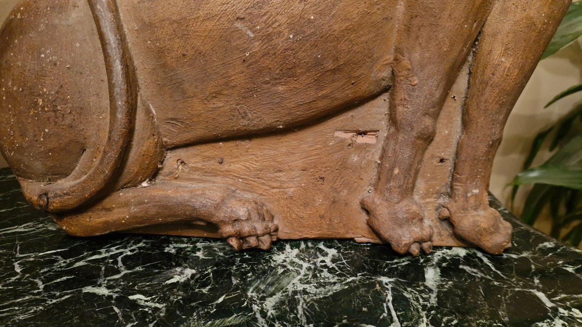 Carved Wooden Lion, 18th Century Woodwork Element -photo-1