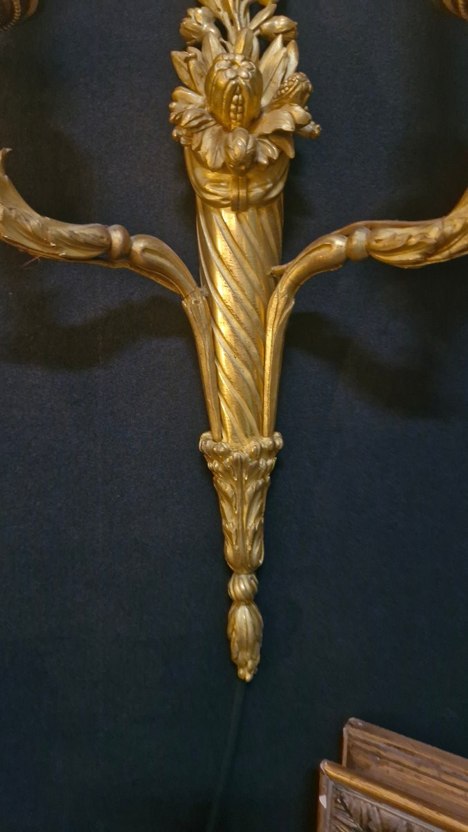 Pair Of Louis XVI Style Gilt Bronze Wall Sconces Signed Millet In Paris -photo-3