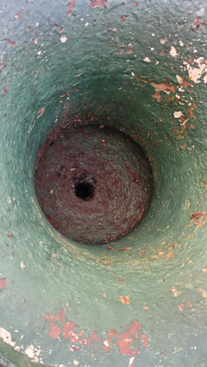 Paire de vases Medicis en fonte Époque XIX Ème S -photo-4