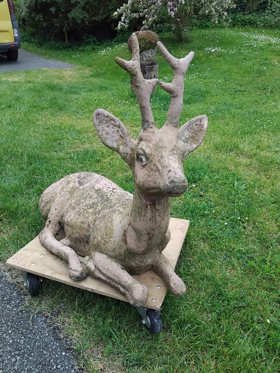 Cerf en ciment, décoration de jardin-photo-4