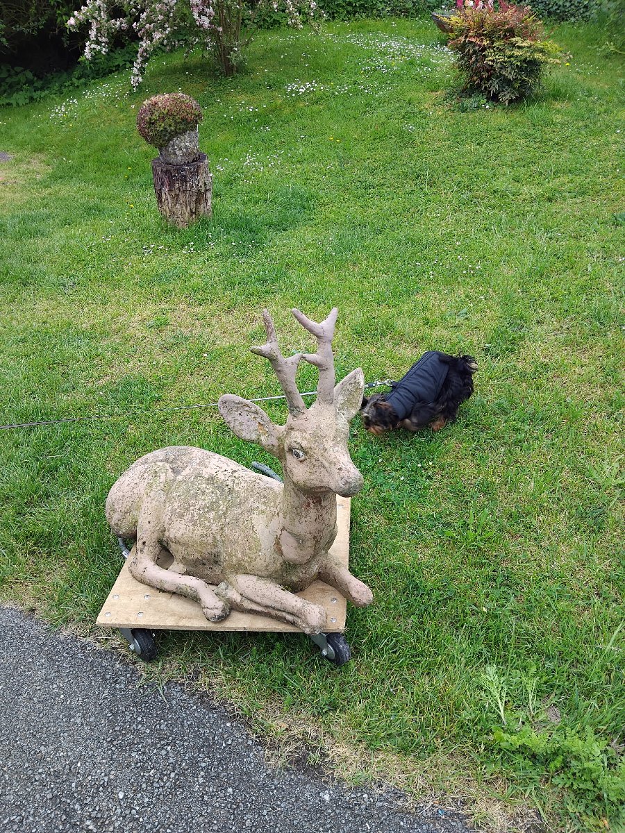 Cerf en ciment, décoration de jardin-photo-1