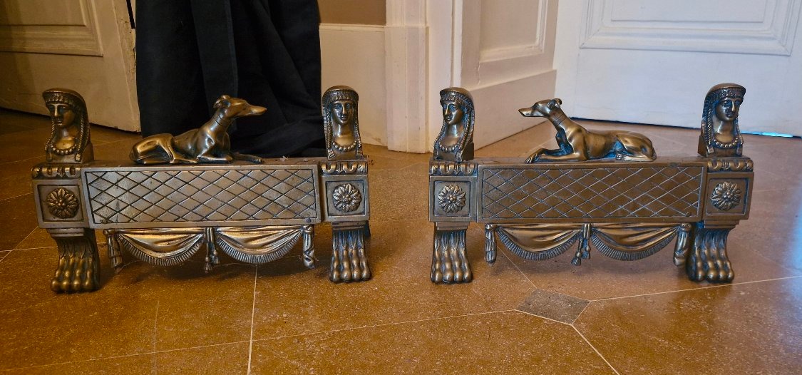 Paire de chenet en bronze Empire -photo-2