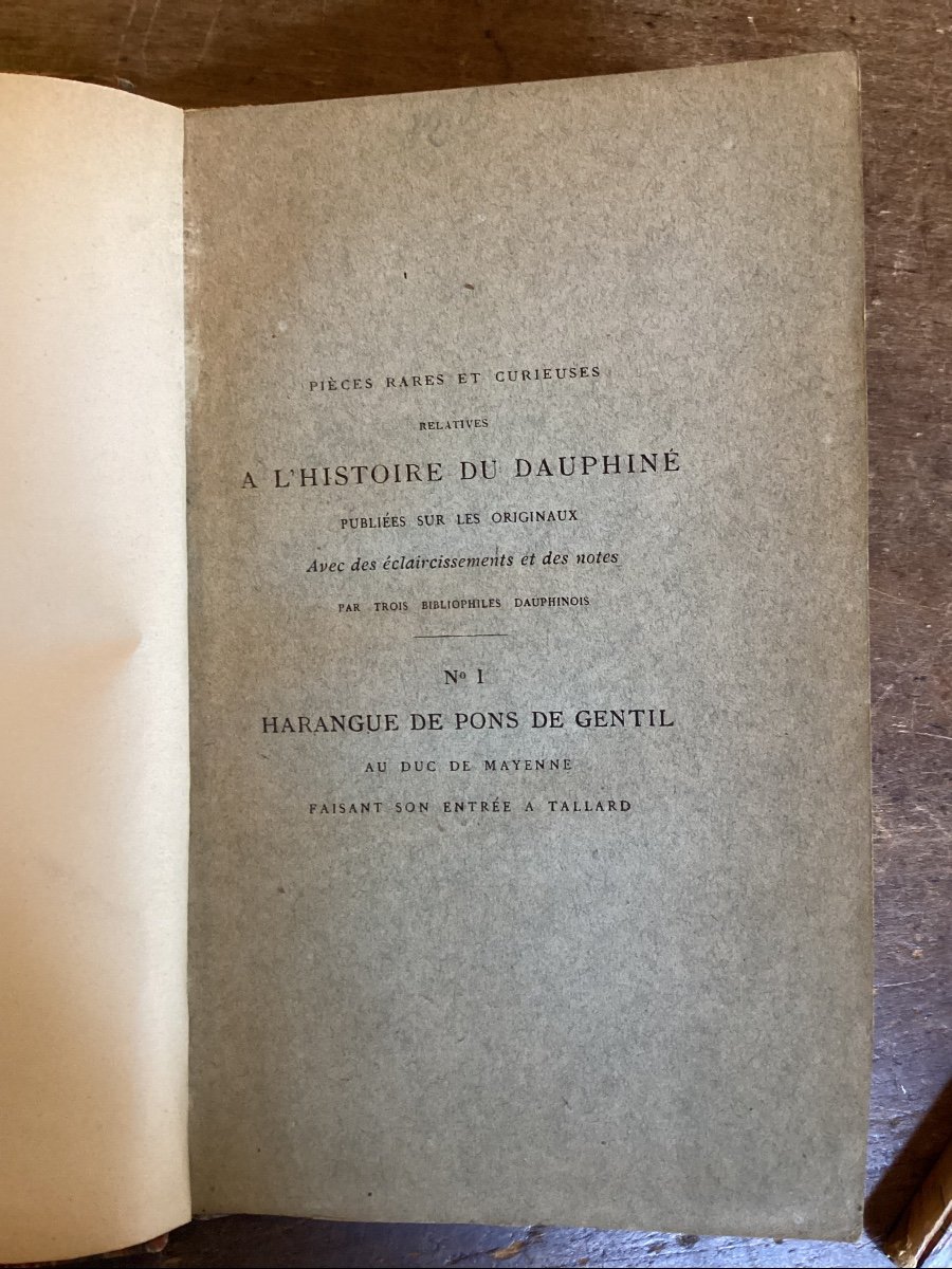 Rare And Curious Pieces Relating To The History Of Dauphiné. 3 Numbered Volumes.-photo-2