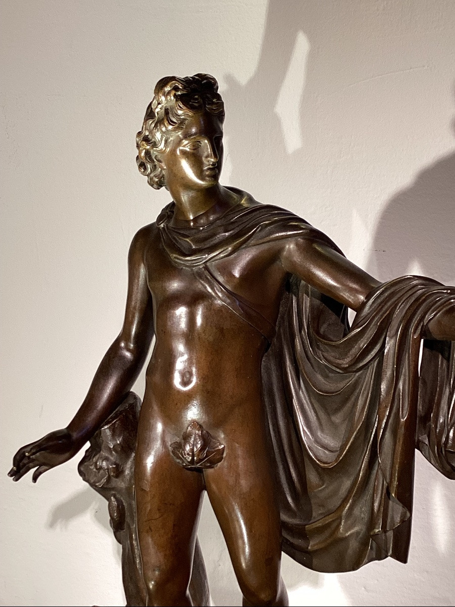 Apollon Du Belvédère . Bronze à Patine Brune. -photo-4