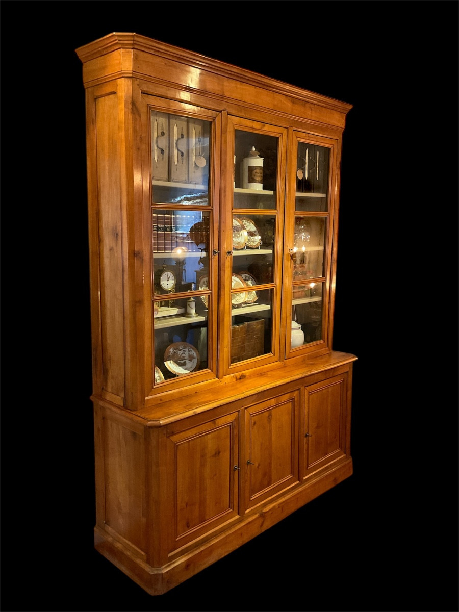 Louis Philippe Period 6-door Bookcase. 