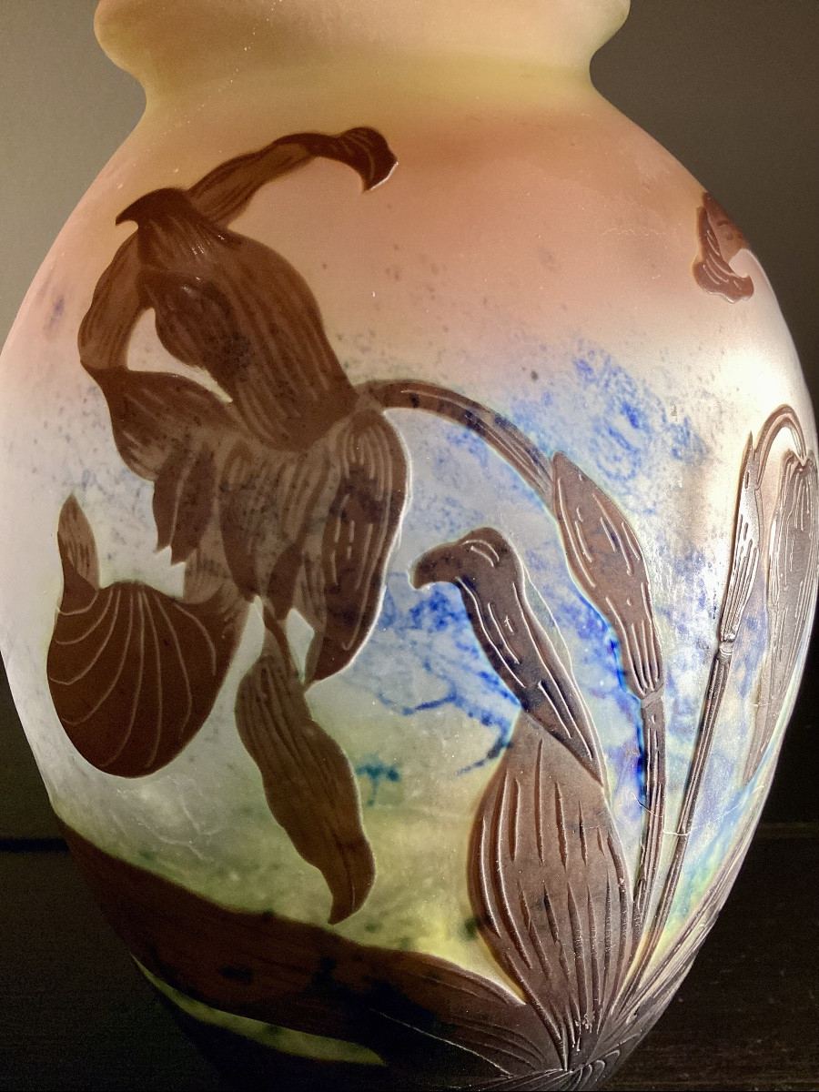 “orchids” Emile Gallé, Vase With Acid-etched Flower Decoration. -photo-5