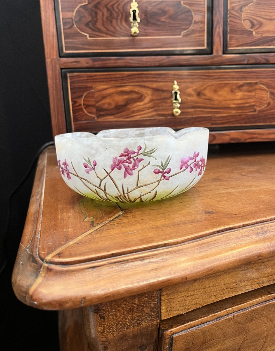 Coupe polylobée Daum  Nancy. « Bois jolis » D15cm H 6,3cm