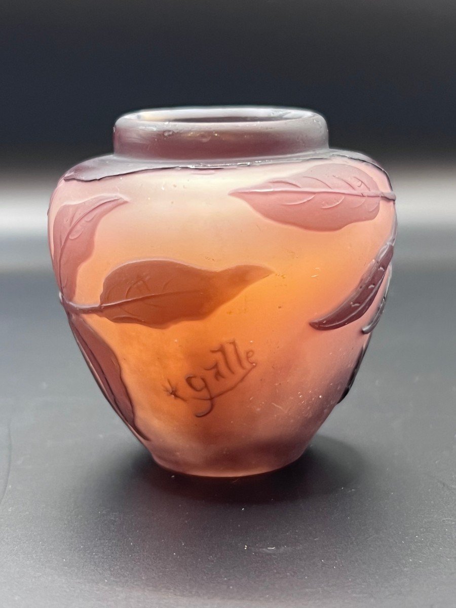 Petit Vase Gallé , Verre Multicouches Décor Floral-photo-7