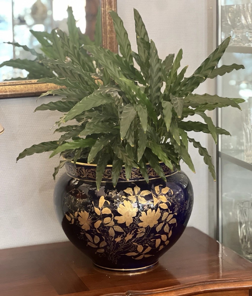Gustave Asch (1856-1911) Porcelain Cachepot With Gold Plant Decoration On A Blue Background