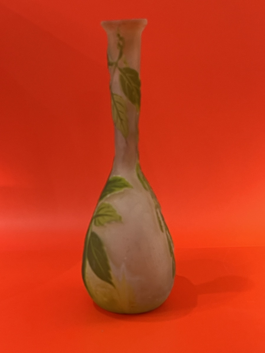 Vase Gallé Art Nouveau -photo-4