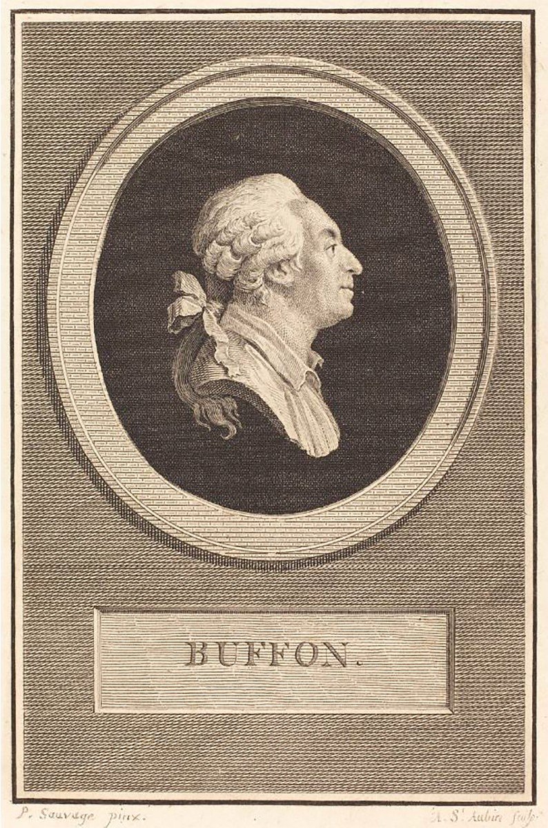 Piat-joseph Sauvage (1744-1818) Portrait Of Buffon Aged 65 Miniature Tournai-photo-3