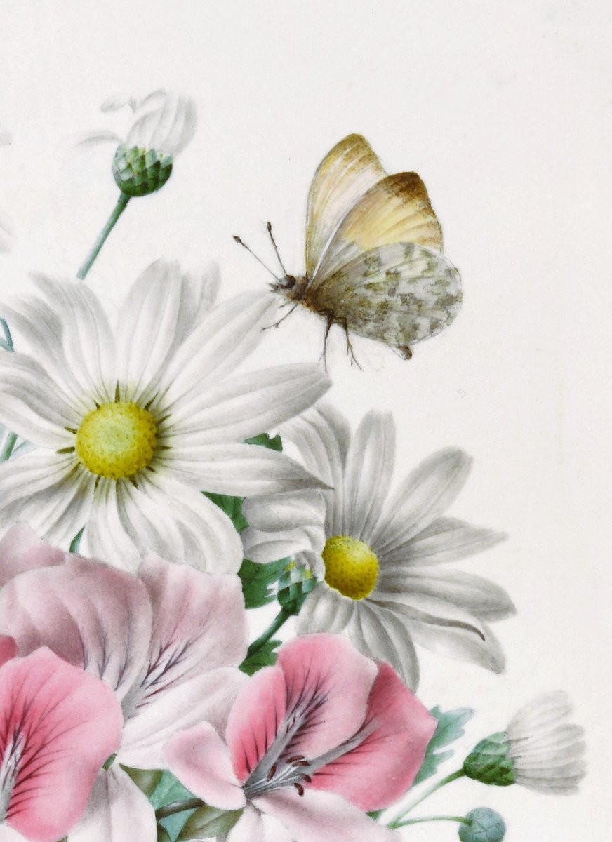 Augustine Lesourd-Delisle (1810-1890) Iris et marguerites butinées par un papillon Angers-photo-2