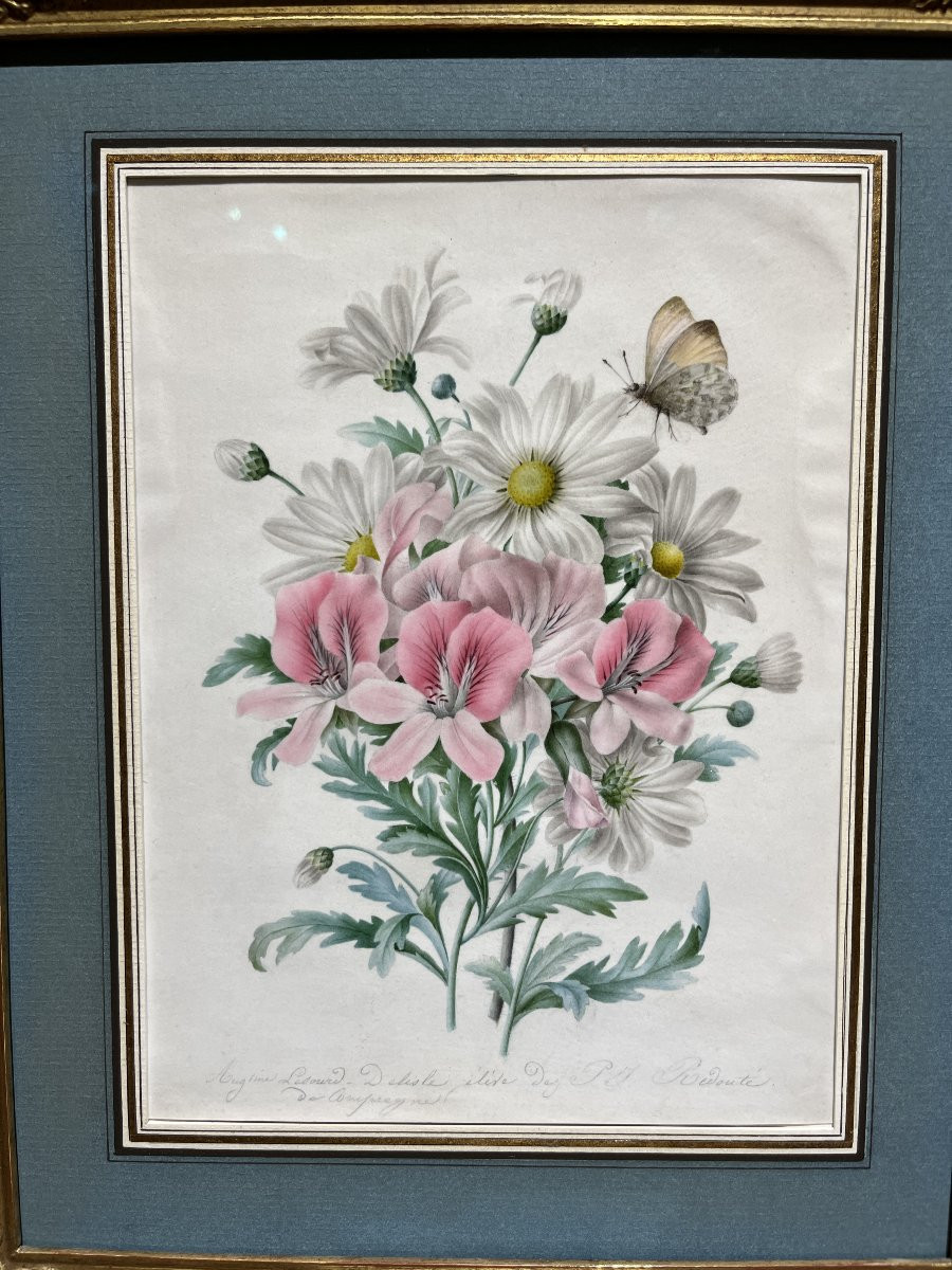 Augustine Lesourd-Delisle (1810-1890) Iris et marguerites butinées par un papillon Angers-photo-4