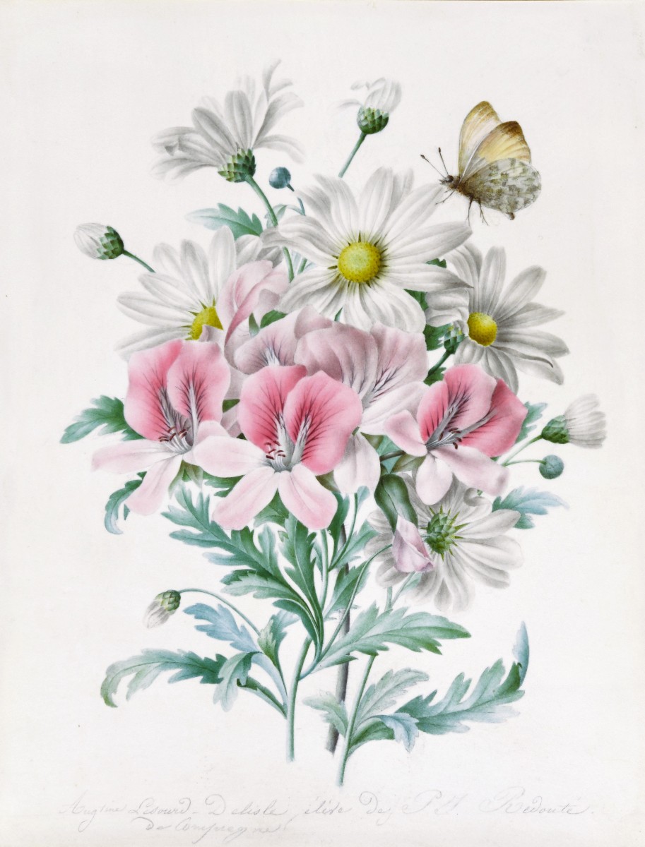 Augustine Lesourd-Delisle (1810-1890) Iris et marguerites butinées par un papillon Angers