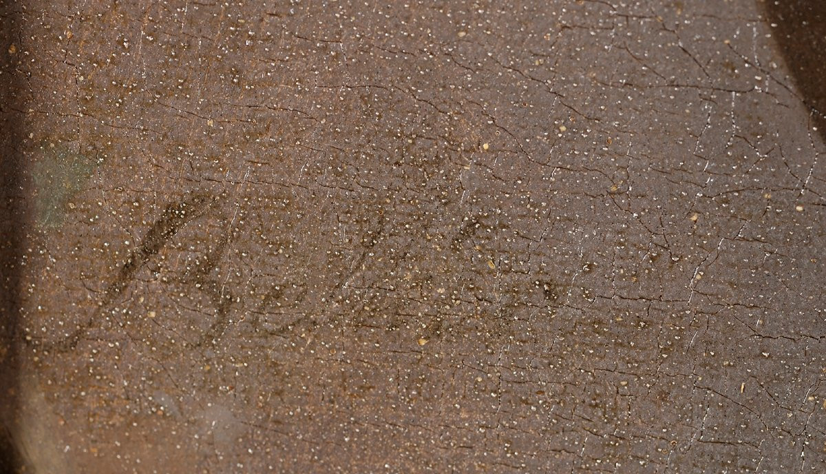 Jean François Marie Bellier (1745-1836) Portrait d’homme-photo-3