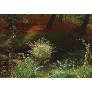 Anthonore Christensen (1849-1926) Fern By A Stream In The Undergrowth