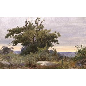 Louis-auguste Lapito (1803–1874) The Painter In The Forest Of Fontainebleau
