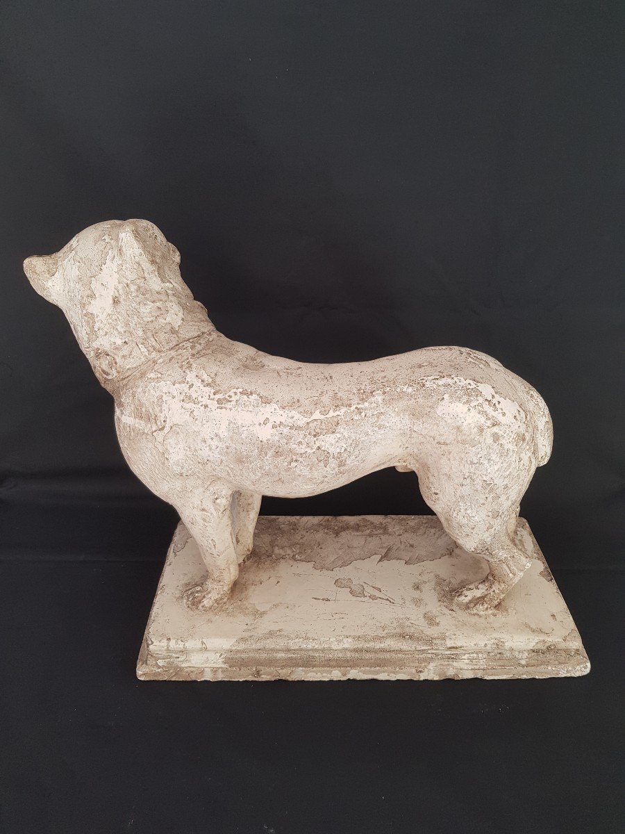 Pug Or Bulldog Plaster Statue 19 Eme.-photo-1