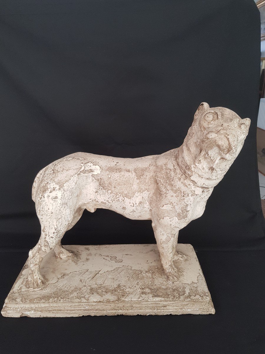 Pug Or Bulldog Plaster Statue 19 Eme.-photo-6