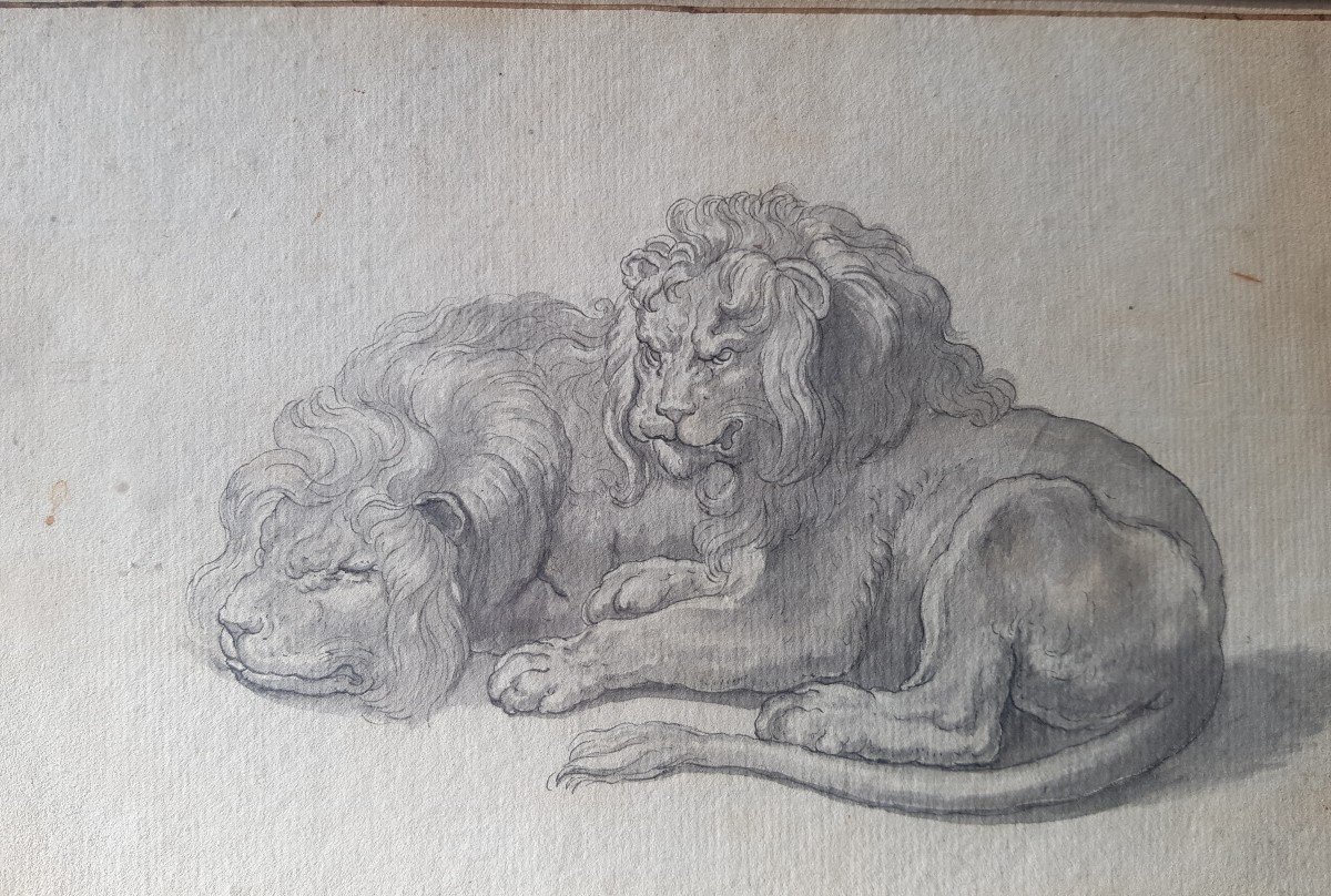 Deux Lions,  Lavis d'Encre, école Du 19 E-photo-3