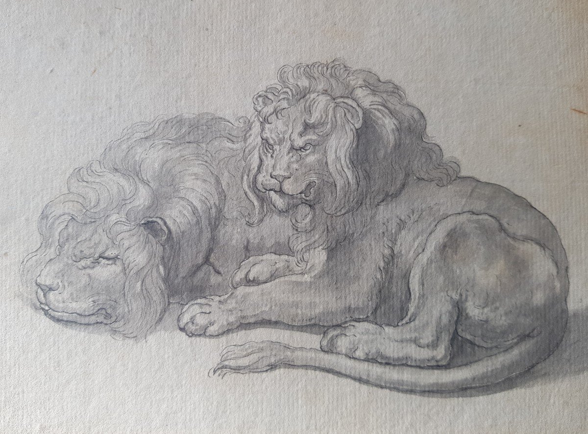 Deux Lions,  Lavis d'Encre, école Du 19 E-photo-4