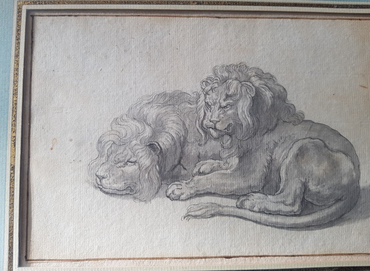Deux Lions,  Lavis d'Encre, école Du 19 E-photo-1