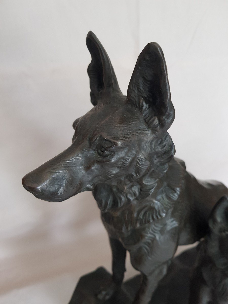 Rare Large Bronze-photo-2