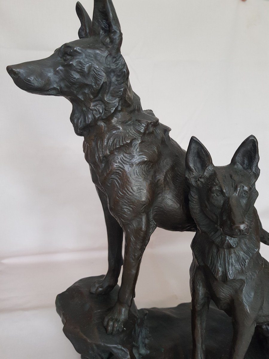 Rare Grand Bronze à représentation d'un couple de Loups époque 19 e -photo-4