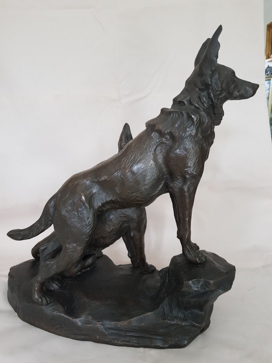 Rare Grand Bronze à représentation d'un couple de Loups époque 19 e -photo-1