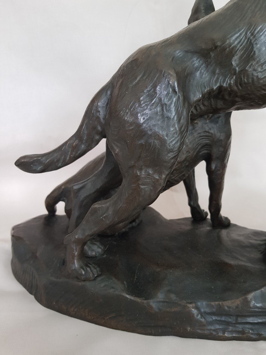 Rare Large Bronze-photo-2