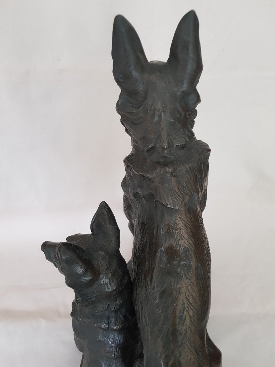 Rare Grand Bronze à représentation d'un couple de Loups époque 19 e -photo-5