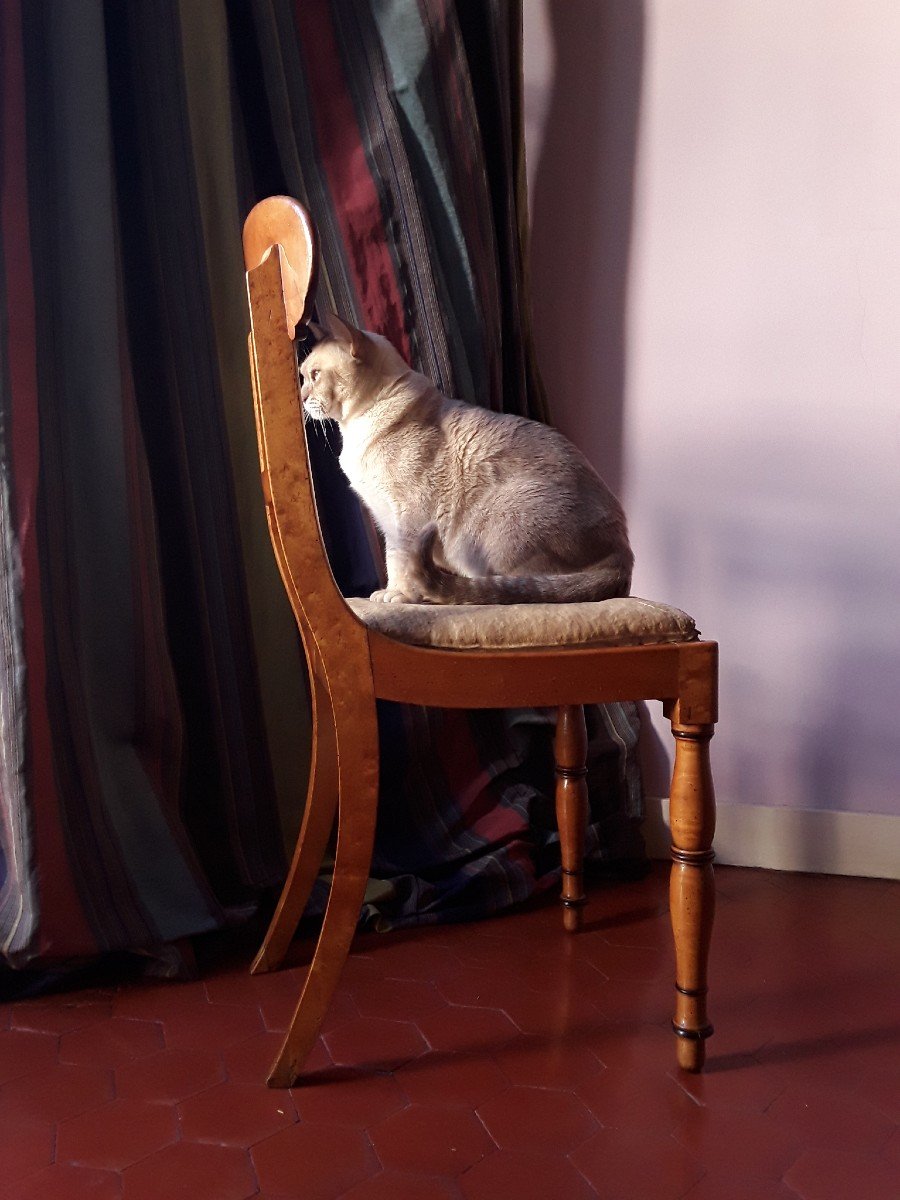 Charles X Period Chair.-photo-4