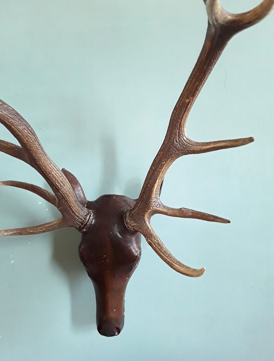 Carved Wooden Deer Trophy. -photo-3