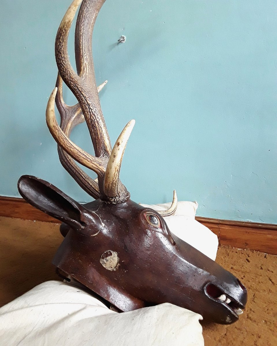 Carved Wooden Deer Trophy. -photo-3