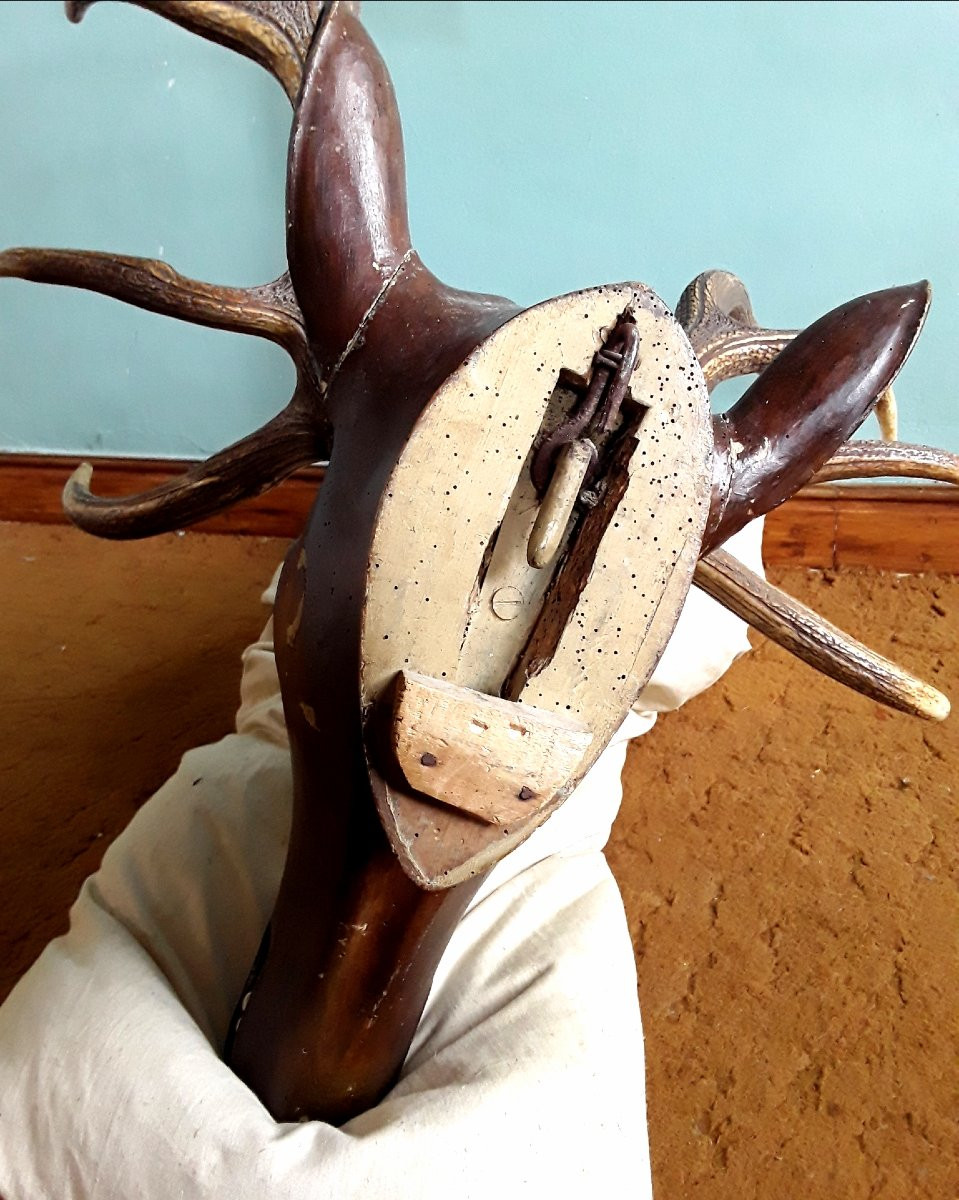Carved Wooden Deer Trophy. -photo-6