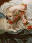 1639560-68fbb60dd1bd5.jpg