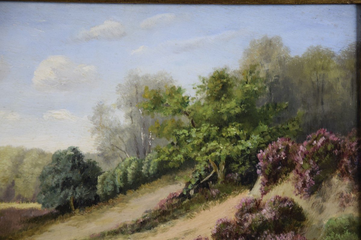 Lande De Bruyères, Oil On Panel Signed B. Fal-photo-1