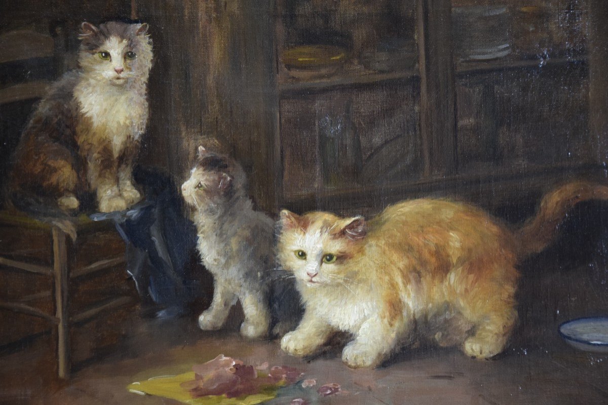 Le repas des chatons  , huile sur toile de G.Mansol vers 1900-photo-3