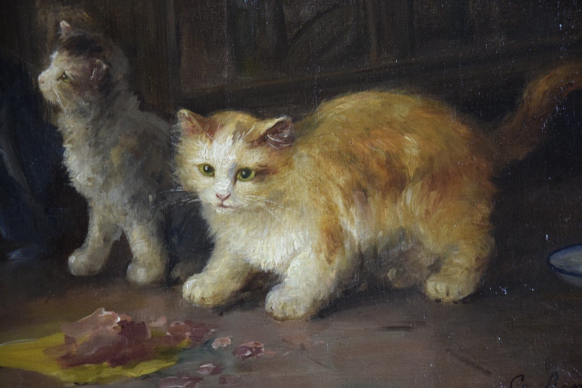 Le repas des chatons  , huile sur toile de G.Mansol vers 1900-photo-1