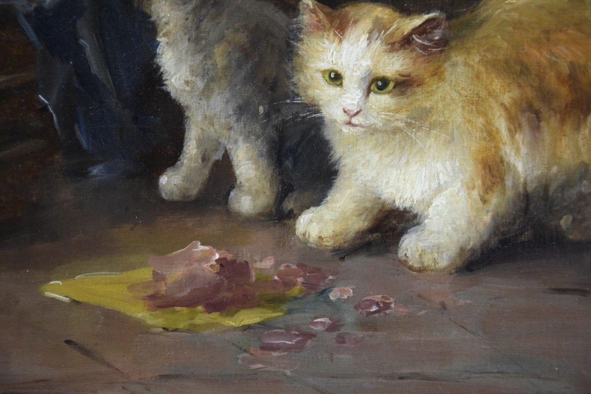 Le repas des chatons  , huile sur toile de G.Mansol vers 1900-photo-4