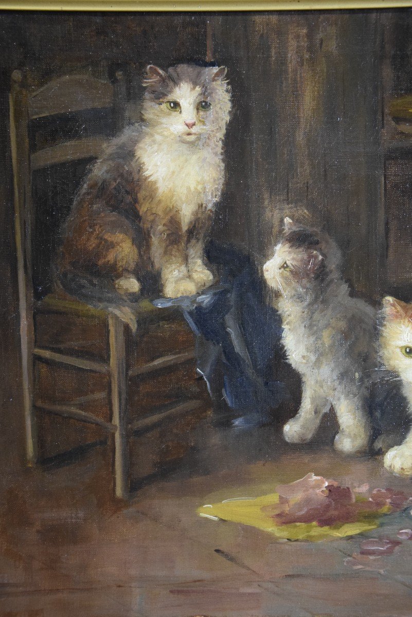 The Meal Of The Kittens, Oil On Canvas By G. Mansol Around 1900-photo-5