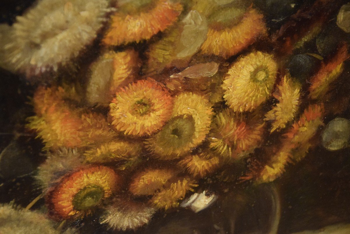 Bouquet Of Dried Flowers, Oil On Canvas Signed Mary Vonne, Mid-20th Century -photo-4